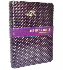 Holy Bible (Kjv)