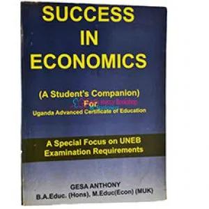 Success In Economics 1