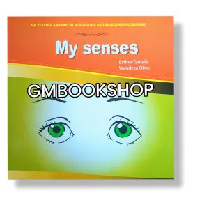My senses 1