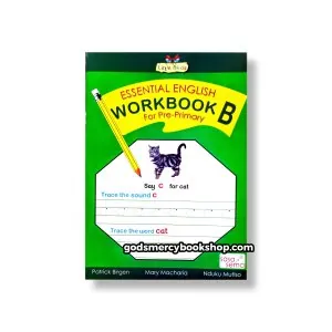 Essential English workbook B 1
