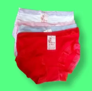 ladies knickers: Beauty season 3302