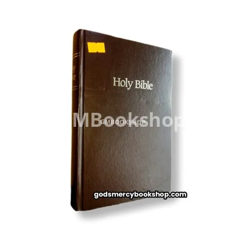 Holy Bible NIV