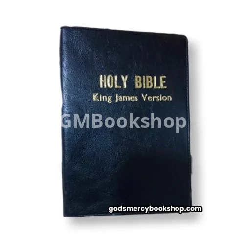 The Holly Bible