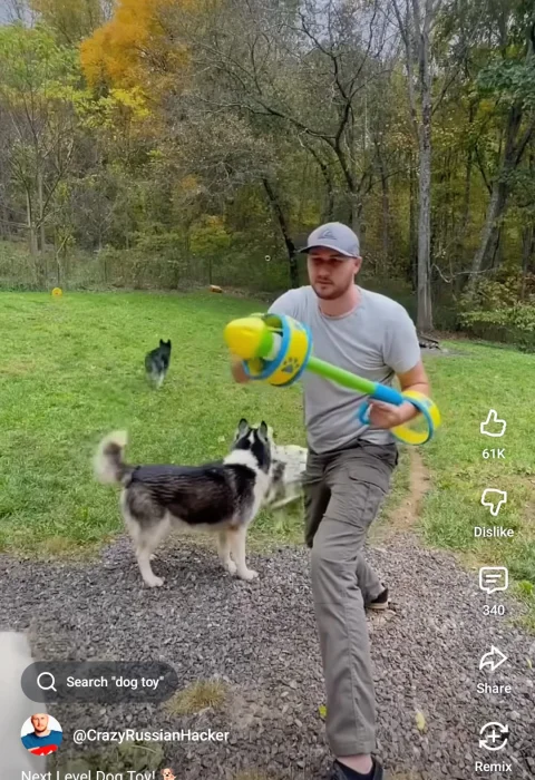 Dog toy