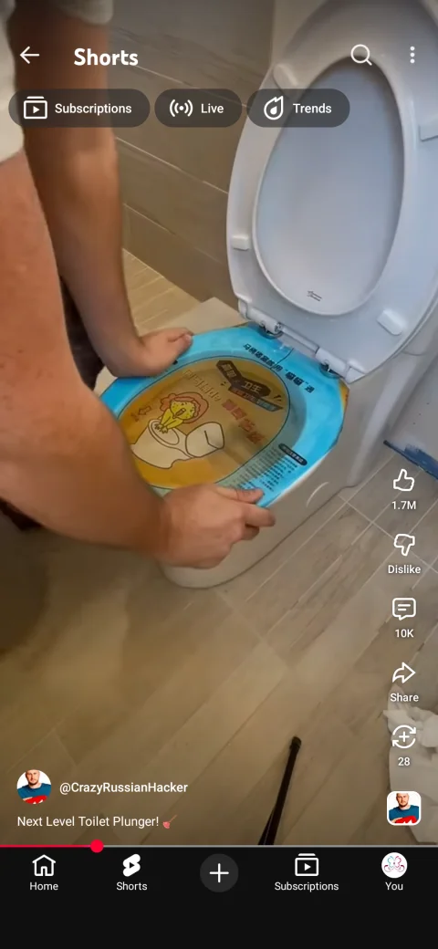 Toilet Disposable Sticker Plunger