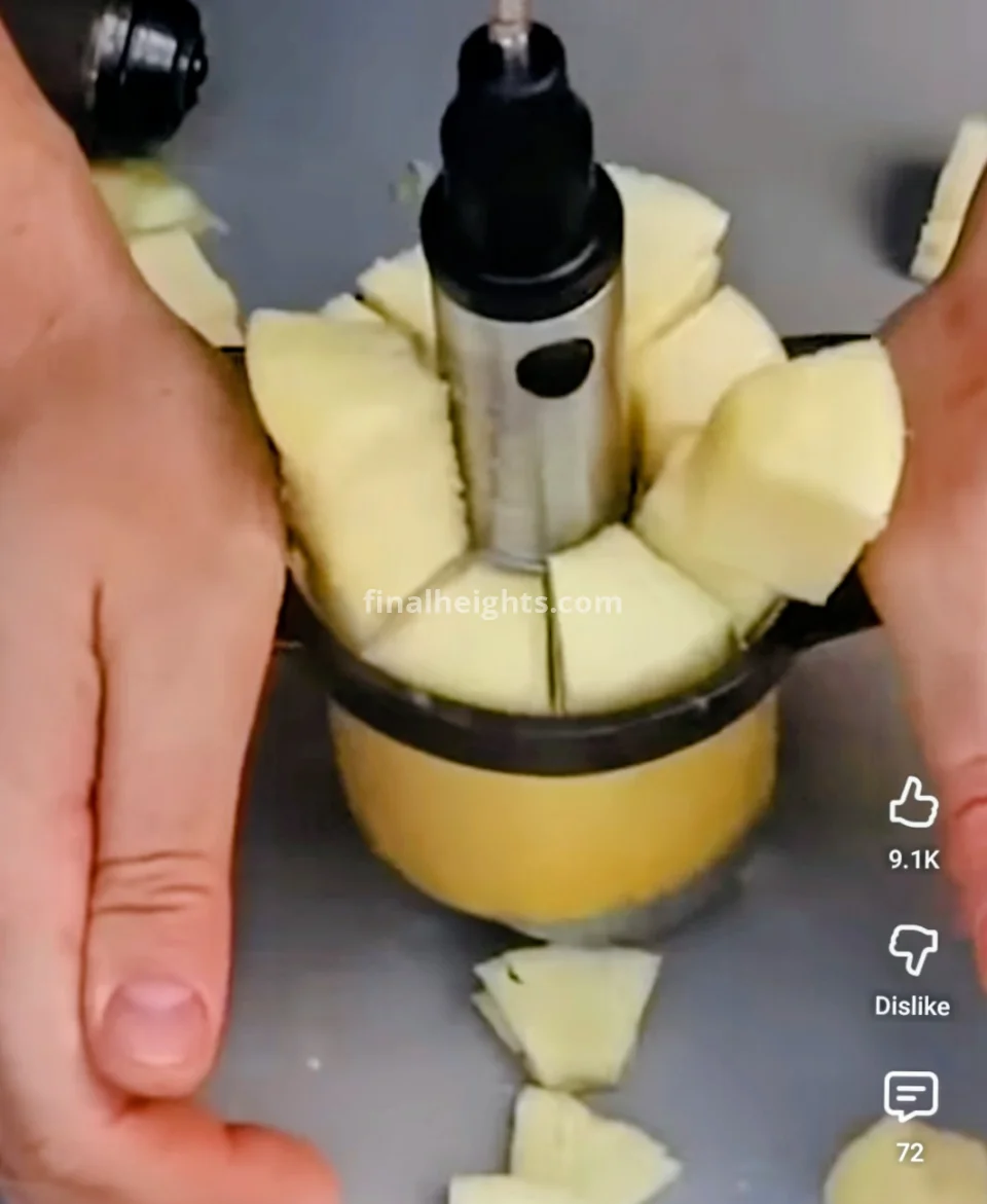 Next level pineapple peeler/slicer