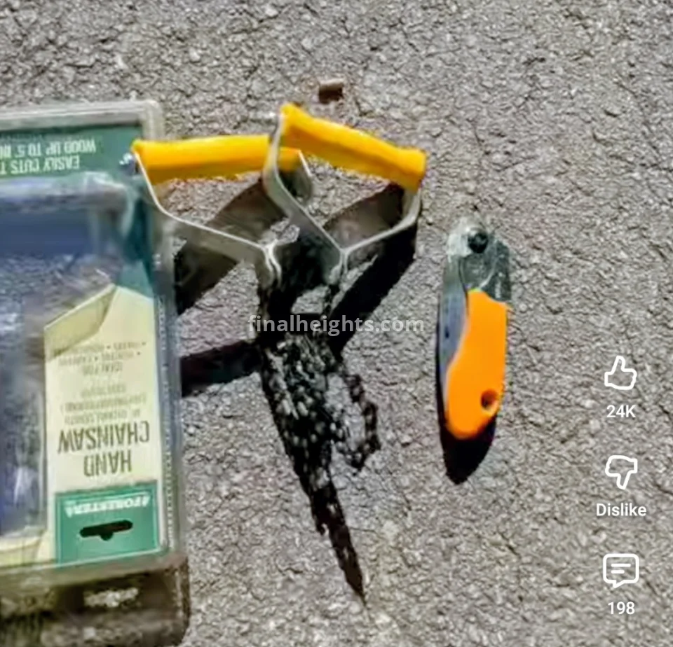 folding saw