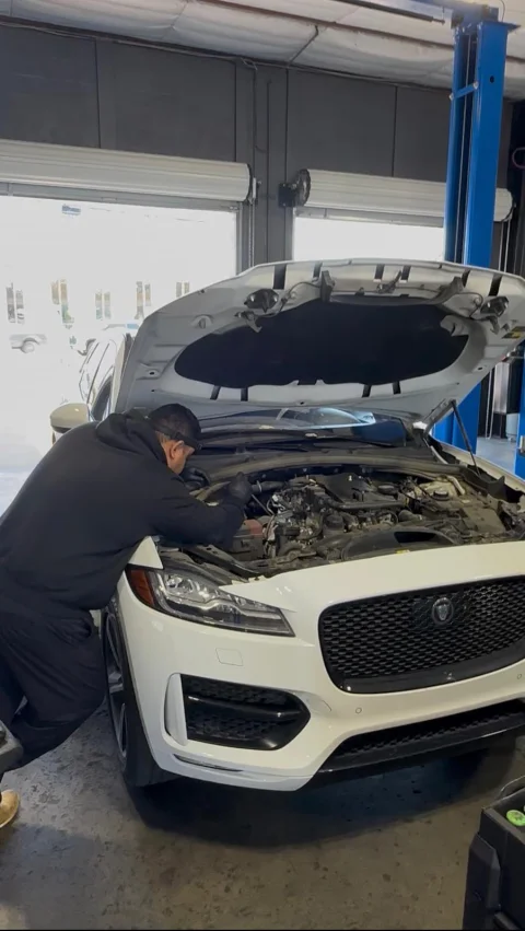 Wise Car Care - Auto repair