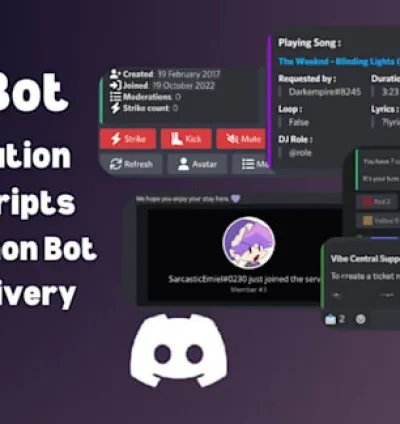 Our agency will create custom discord bot