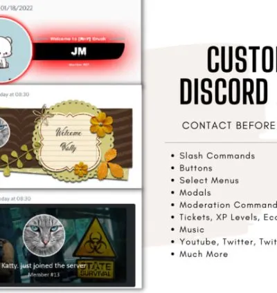 I will create professional discord bot for you with custom commands