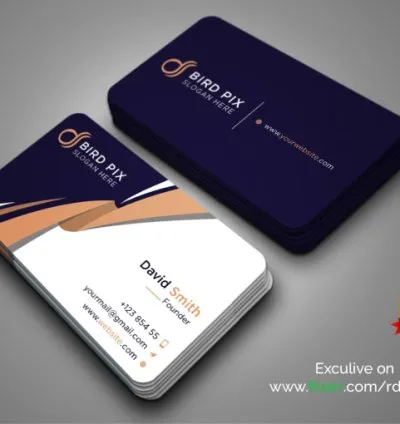 I will do modern and unique business card design
