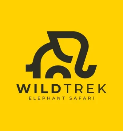 I will do modern minimalist unique timeless business logo design