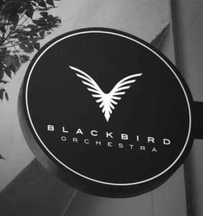 I will create a modern minimalist logo design for your business
