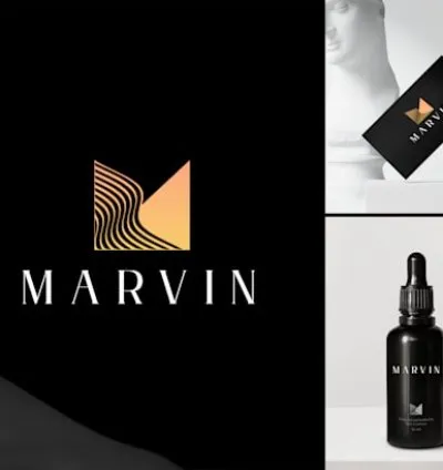 I will do highly modern minimalist luxury business logo design