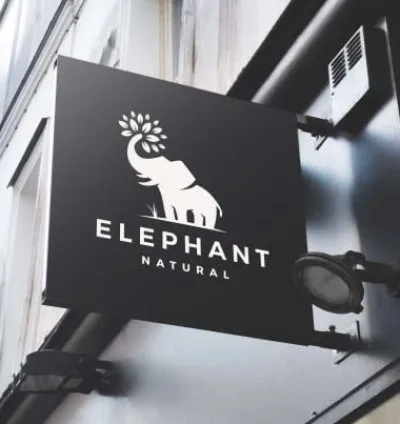 I will create a modern minimalist and luxury logo design