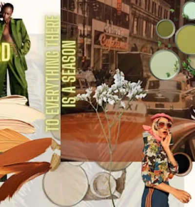 I will provide consultation for your brand collection or print design