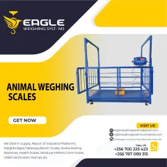 Livestock weighing scales 256 700225423