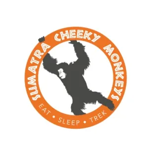 Sumatra cheeky monkeys