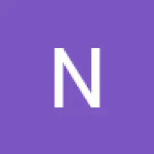 Necomitt Financial Services