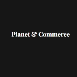Rupaliyan Techventures and consultancy limited