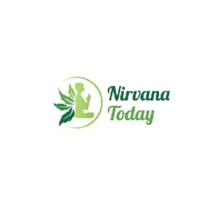 Nirvana Today LLC