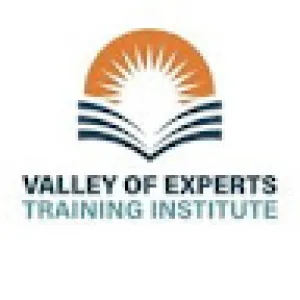 Valley Of Experts