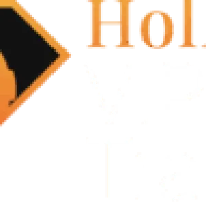 Holland Vip Transfers
